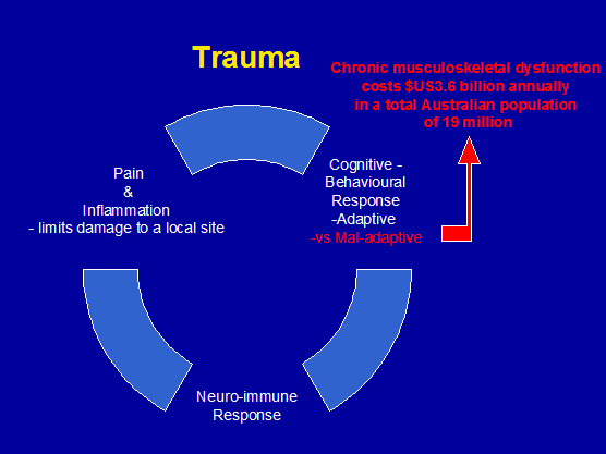 figure   the cost of mal-adaptive responses to trauma